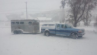 The F250 diesel and horse trailer stay on the property to be sure that transportation is available in emergencies and for fun!!
