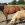 Rosey & Jasmine, the golden Palomino pony in the foreground.